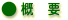 概要